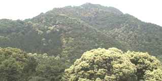 金華山の由来