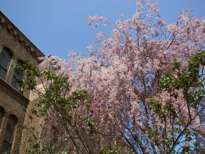 ���w������